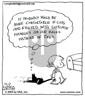 Kit 'N' Carlyle on Saturday December 3, 2005 Comic Strip