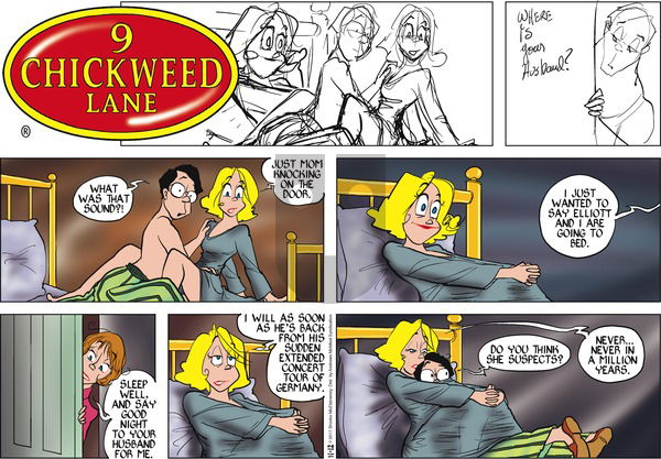9 Chickweed Lane on Sunday November 12, 2017 Comic Strip