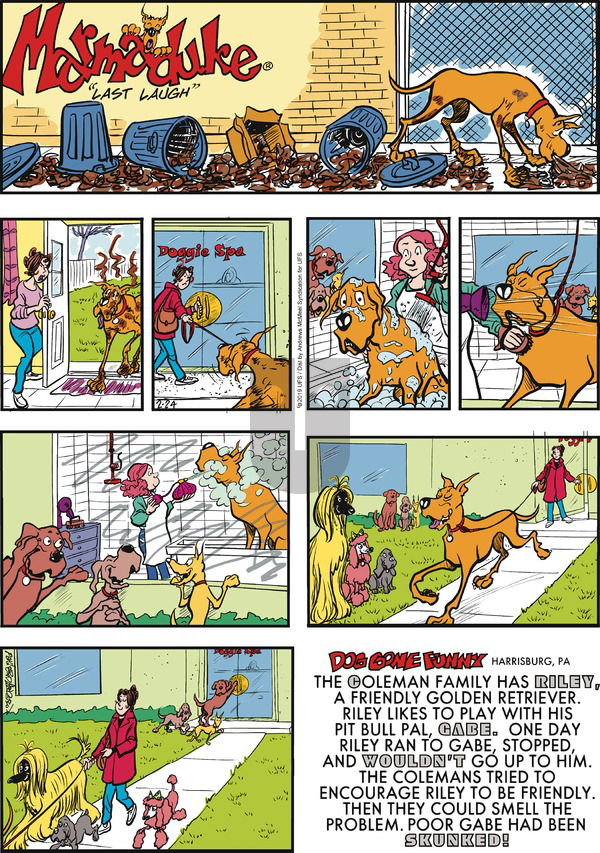 Marmaduke on Sunday February 24, 2019 Comic Strip