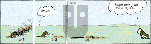 Fred Basset - Wednesday February 28, 2024 Comic Strip