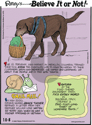 Ripley's Believe It or Not on Thursday October 8, 2020 Comic Strip