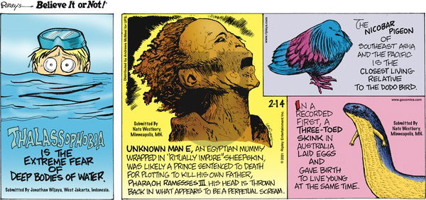 Ripley's Believe It or Not on Sunday February 14, 2021 Comic Strip