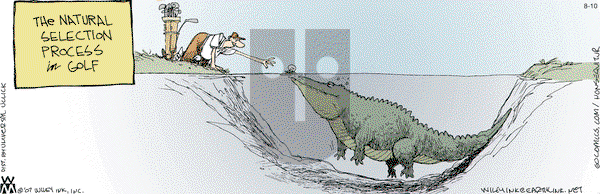 Non Sequitur on Wednesday August 10, 2011 Comic Strip