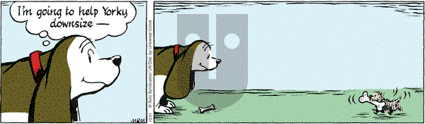 Fred Basset on Saturday December 31, 2016 Comic Strip