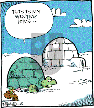 Reality Check on Wednesday January 25, 2012 Comic Strip