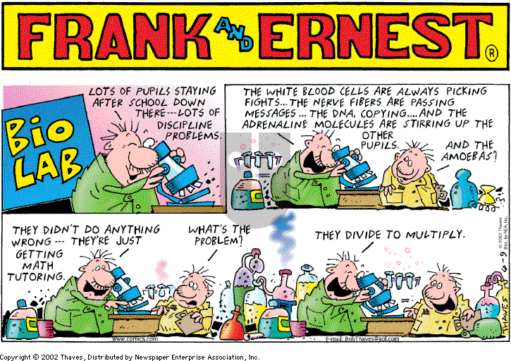 Frank and Ernest on Sunday June 9, 2002 Comic Strip