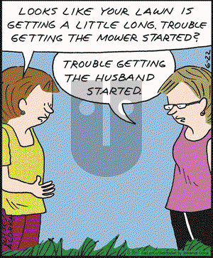 Real Life Adventures on Saturday June 21, 2025 Comic Strip