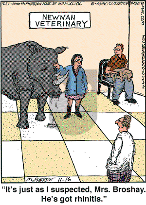 Close to Home on Wednesday November 16, 2011 Comic Strip