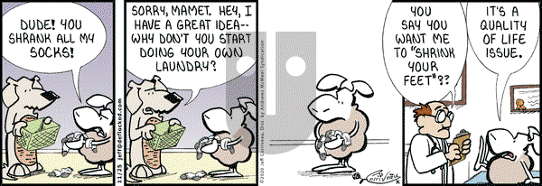 DeFlocked on Wednesday November 25, 2020 Comic Strip
