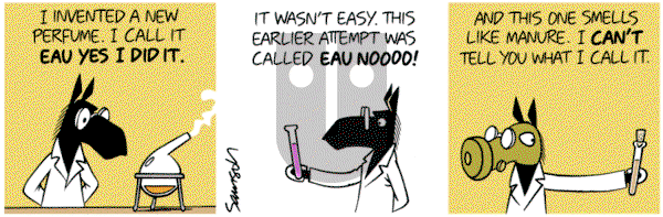 Dark Side of the Horse on Sunday March 6, 2016 Comic Strip