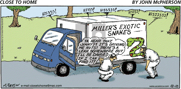 Close to Home on Sunday October 10, 2004 Comic Strip