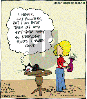 Kit 'N' Carlyle on Saturday May 16, 2009 Comic Strip