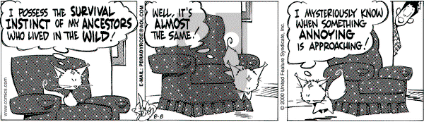 Rose is Rose on Thursday August 17, 2000 Comic Strip