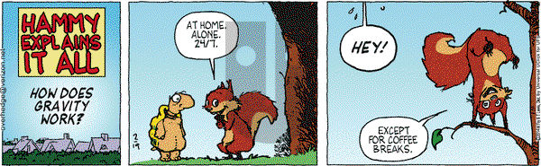 Over the Hedge on Wednesday February 19, 2014 Comic Strip