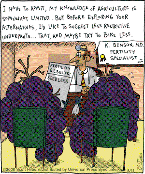 The Argyle Sweater on Monday August 11, 2008 Comic Strip