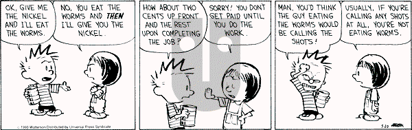 Calvin and Hobbes - Thursday May 20, 1993 Comic Strip