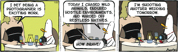 W.T. Duck on Tuesday January 20, 2009 Comic Strip