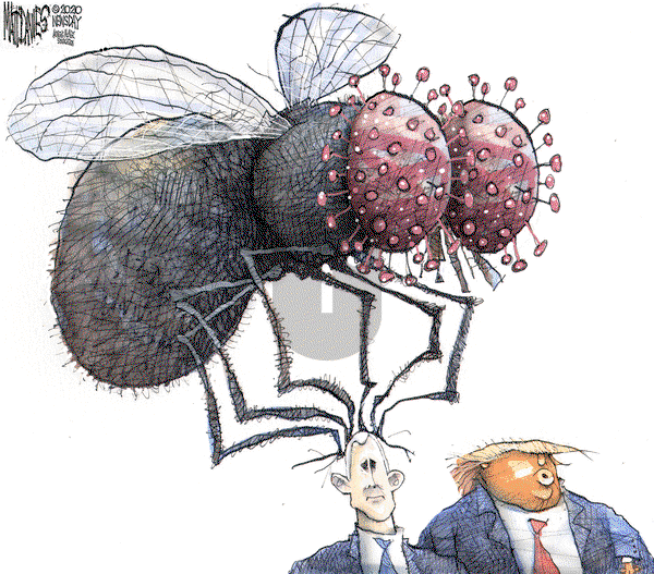 Matt Davies on Saturday October 10, 2020 Comic Strip