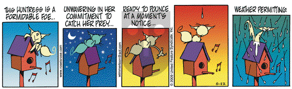Rose is Rose on Friday May 22, 2009 Comic Strip
