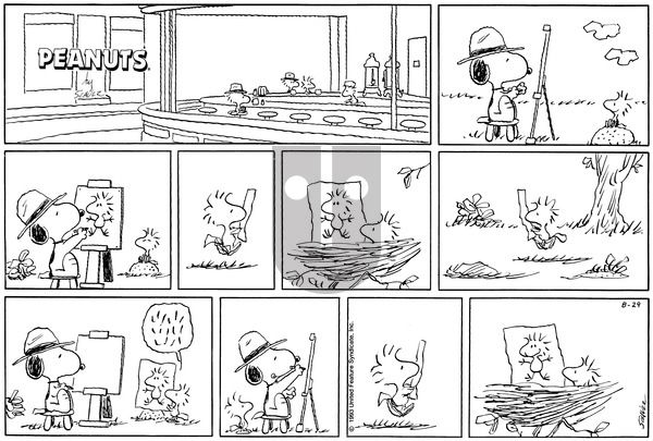 Peanuts on Sunday August 29, 1993 Comic Strip