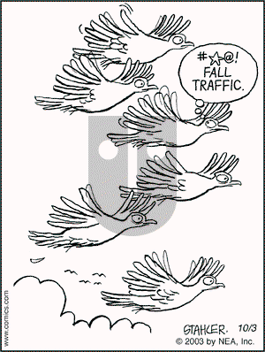 Moderately Confused on Friday October 3, 2003 Comic Strip