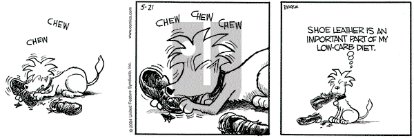 Grand Avenue on Friday May 21, 2004 Comic Strip