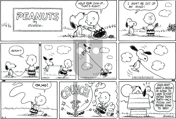 Peanuts - Sunday June 6, 1965 Comic Strip