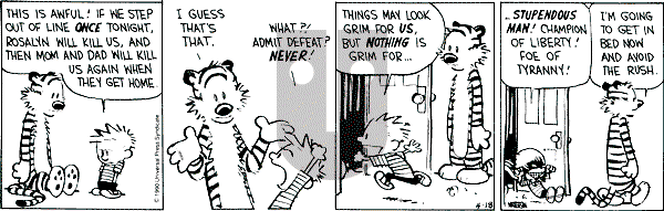 Calvin and Hobbes - Monday April 18, 1994 Comic Strip