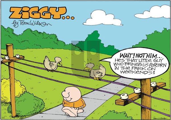 Ziggy on Sunday February 24, 2013 Comic Strip