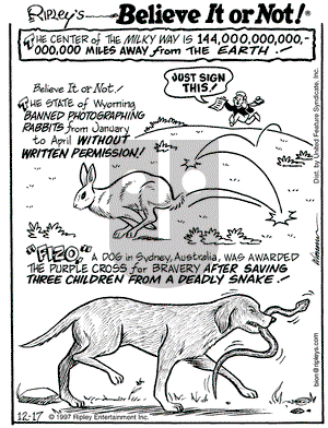 Ripley's Believe It or Not on Wednesday December 17, 1997 Comic Strip