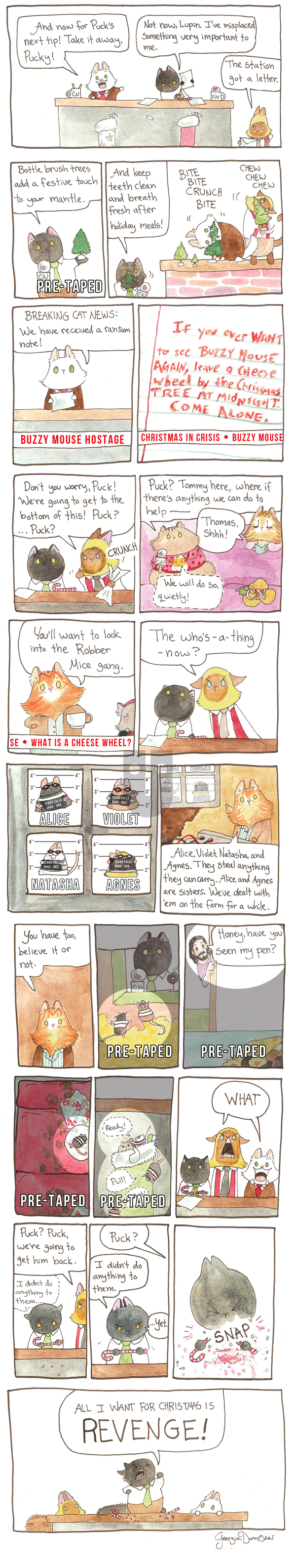 Breaking Cat News on Saturday February 4, 2017 Comic Strip