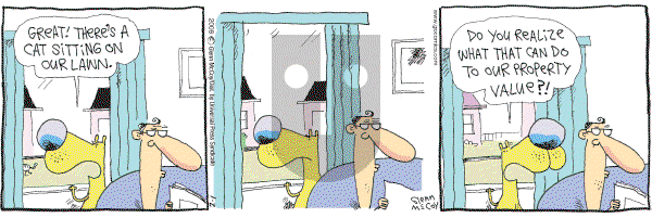 The Duplex on Sunday February 10, 2008 Comic Strip