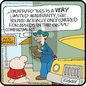 Ziggy on Friday January 3, 2003 Comic Strip