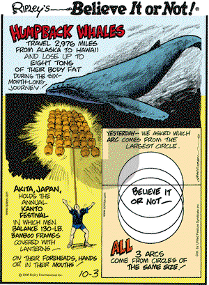 Ripley's Believe It or Not on Friday October 3, 2008 Comic Strip