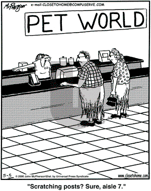 Close to Home on Tuesday May 9, 2000 Comic Strip