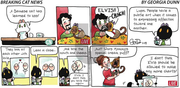 Breaking Cat News on Sunday January 17, 2021 Comic Strip