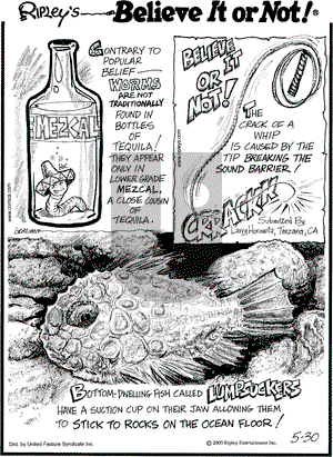 Ripley's Believe It or Not on Monday May 30, 2005 Comic Strip