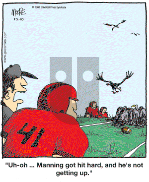 In the Bleachers - Wednesday December 10, 2008 Comic Strip