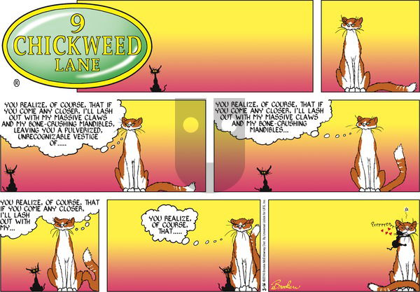9 Chickweed Lane on Sunday March 16, 2014 Comic Strip
