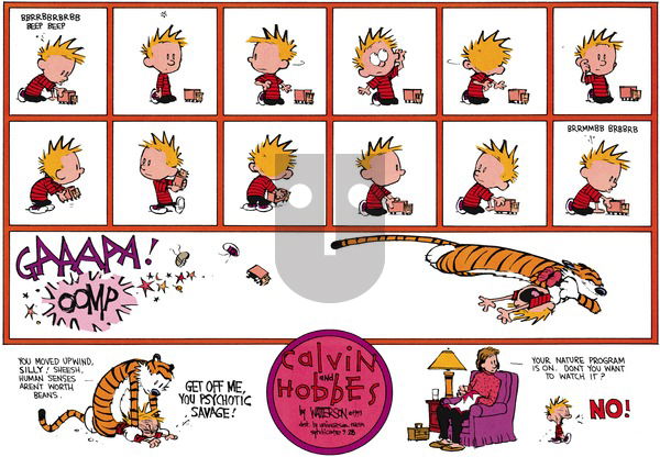 Calvin and Hobbes on Sunday November 14, 1993 Comic Strip