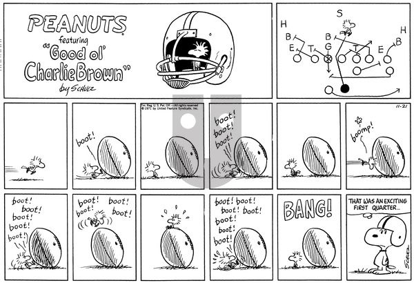 Peanuts on Sunday November 21, 1971 Comic Strip