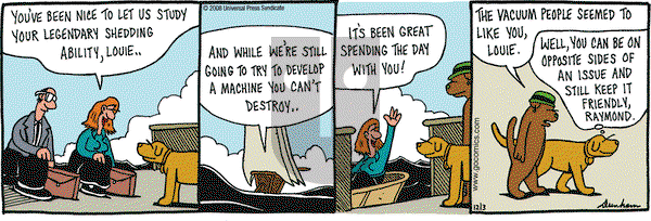 Overboard on Wednesday December 3, 2008 Comic Strip