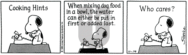 Peanuts on Tuesday November 14, 1989 Comic Strip