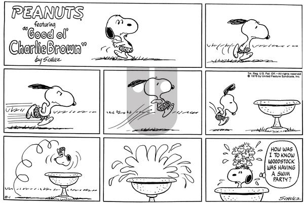 Peanuts on Sunday August 1, 1976 Comic Strip