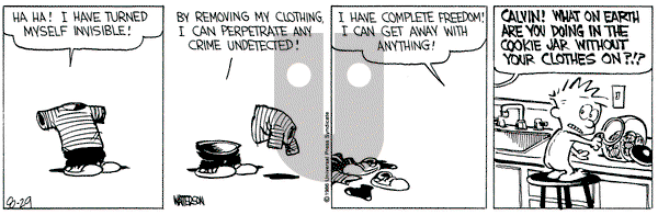 Calvin and Hobbes on Friday August 29, 1986 Comic Strip