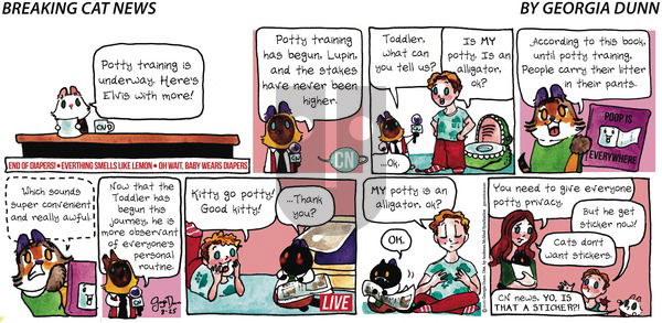 Breaking Cat News on Sunday August 25, 2019 Comic Strip