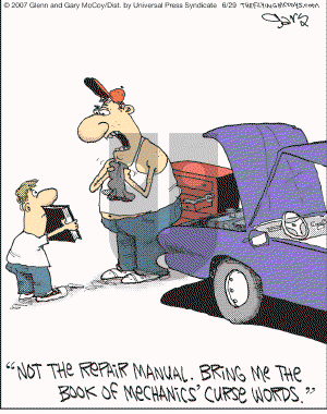 The Flying McCoys on Friday June 29, 2007 Comic Strip