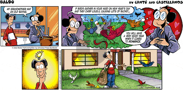 Baldo - Sunday December 29, 2002 Comic Strip