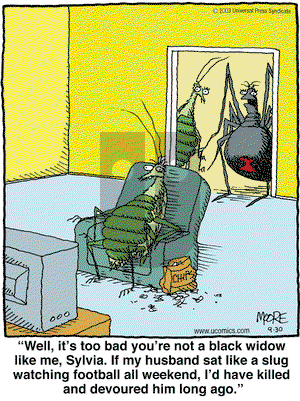 In the Bleachers on Sunday October 12, 2003 Comic Strip