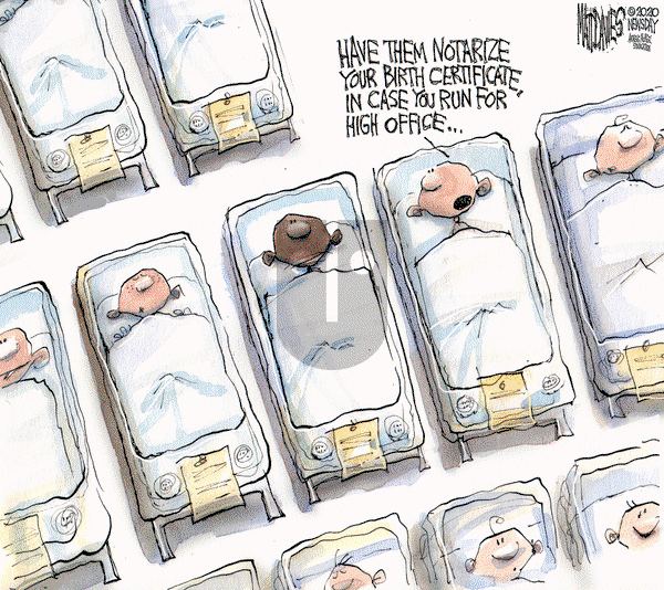 Matt Davies on Tuesday August 18, 2020 Comic Strip